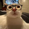 thuphuong_xinhgai