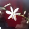 user3600190104446