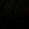 ..............2013_0