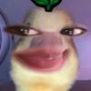 senabltoffic