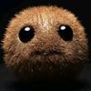 nignir