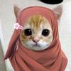 wikestgirl