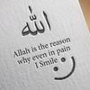 amabhel_12