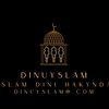 dinulyslam_4728