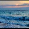 .algehany