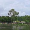 putrisari.r.6