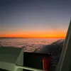 yolo_1771711717