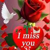 user8235907612074