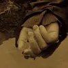 cfjjlpfbfhikjkdlsvsmshd
