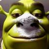 shrek2207