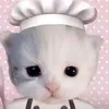 kitty_89031