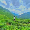 coongvinh09