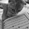 user7126825806830