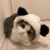 thwe.sin.hsu