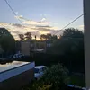 lilz6951