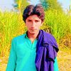 malik.sodhir