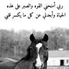 user4290729713173