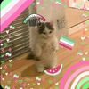 emilia.beltran123321