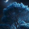 muhammad_amrul36