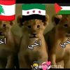 ebrahimhussein979