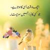 user82408037814212