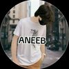 aneebusman60