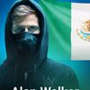 alan.walkermexico