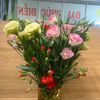 cattuong153