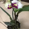 minh.hi616