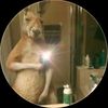 lobo_21_ff