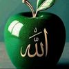 user8521852197126