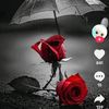 user2375760547195