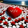 user2403253409269