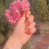 user9192351167036