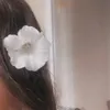 vivienne_465