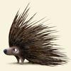 porcupine019