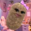 hii_inifebrina
