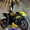 honey31008