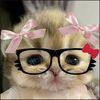ximena.flores.cas0