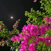 ._423800