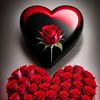 user41280113400296