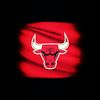 rinbulls8