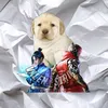 im_perrito_