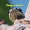 tinylittleblueber