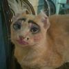 wkwkwkbsj0