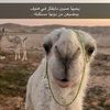 user8105613973325