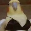trynrml