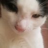 liya_n.12