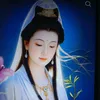 lin.xanh