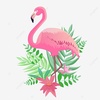 متجر | Flamingo